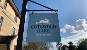 Cotswold Hare