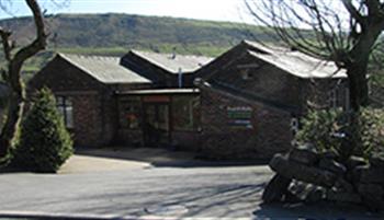 sunfield