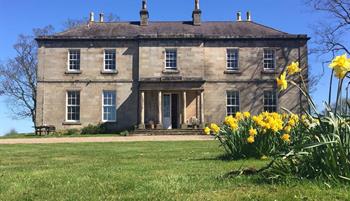 budlehall