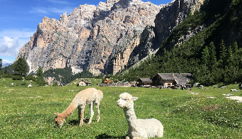 RifugioScotoni