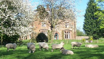 Oakwood Park Hotel