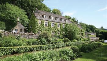 The Swan
