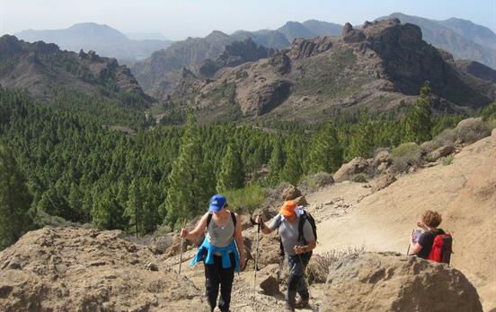 Abwechslungsreiche Landschaften