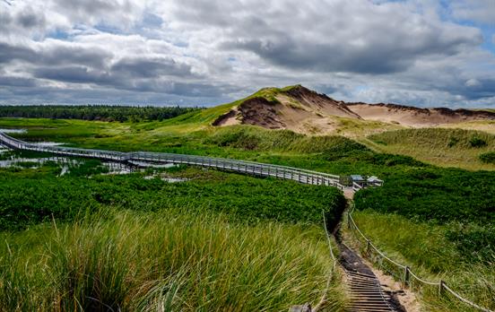 Boardwalk through the Greenwich Sand Dunes