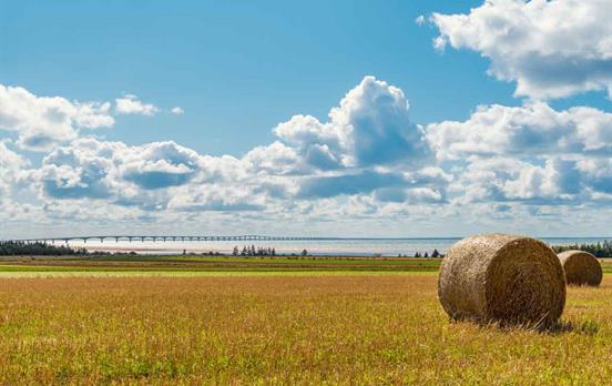 Confederation Bridge