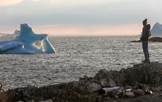 Watch for icebergs cruising down the coastline