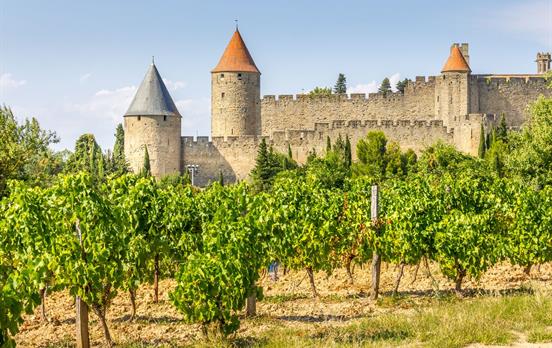 Carcassonne Castle and Vineyards