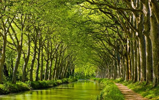 The Canal du Midi