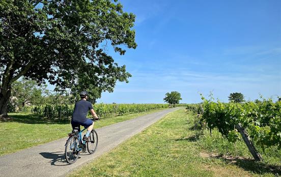Cycling towards Creon