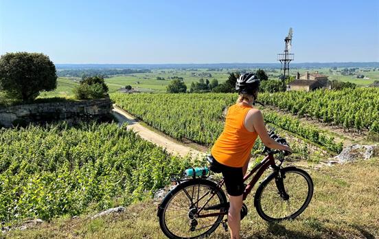 The vineyards of Saint-Emilion