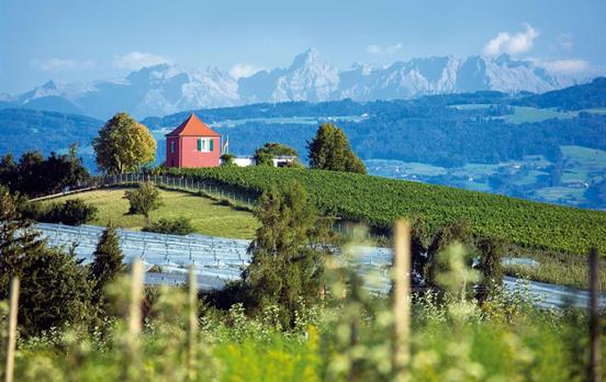 The region of Immenstaad