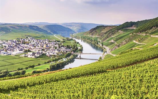 The Moselle River
