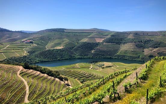 Douro Valley