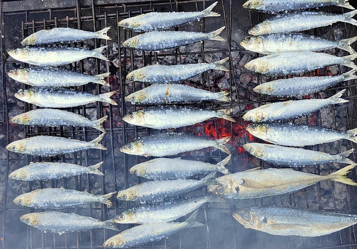 Enjoy fresh grilled sardines