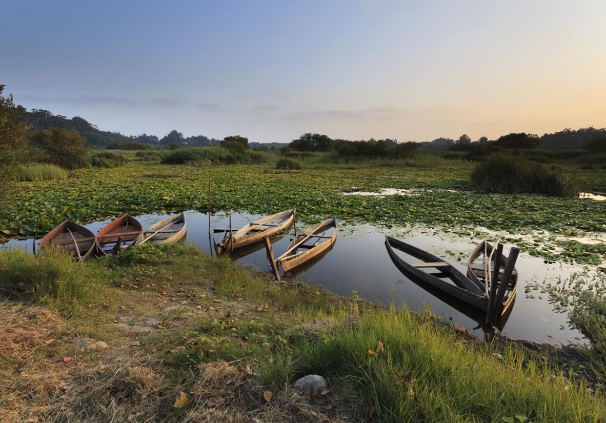 Sunset scenes near Aveiro