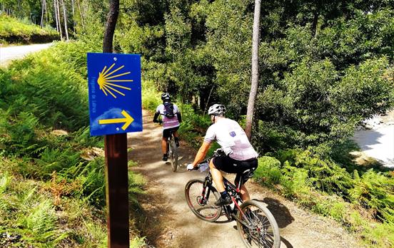 Cycling on the Camino Portugues