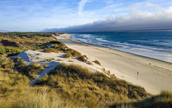 Stunning wild beaches