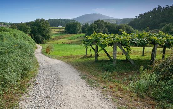 Rural inland trails of the Camino Coastal Way