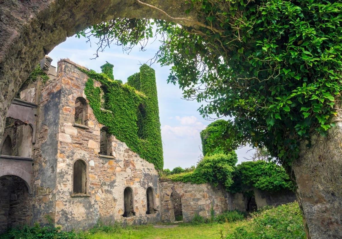 Die Ruine Clifden Castle