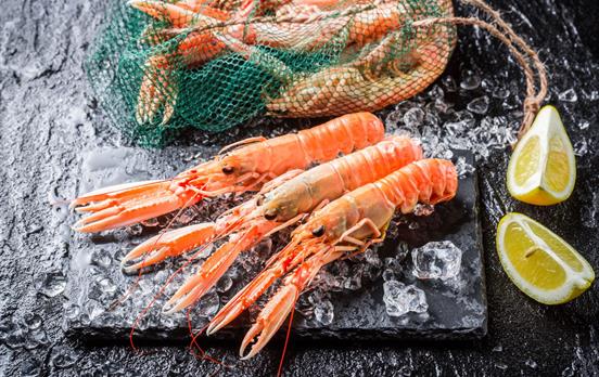 Frische Meeresfrüchte genießen