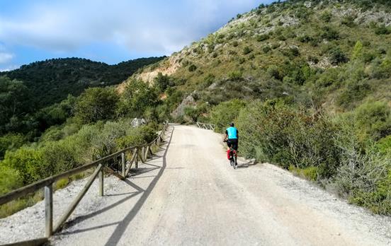 Ride on easy-going mixed terrain