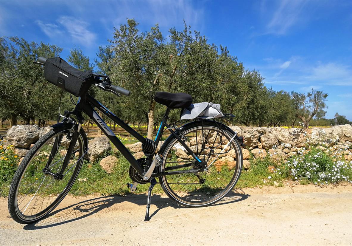 Your typical rental bike
