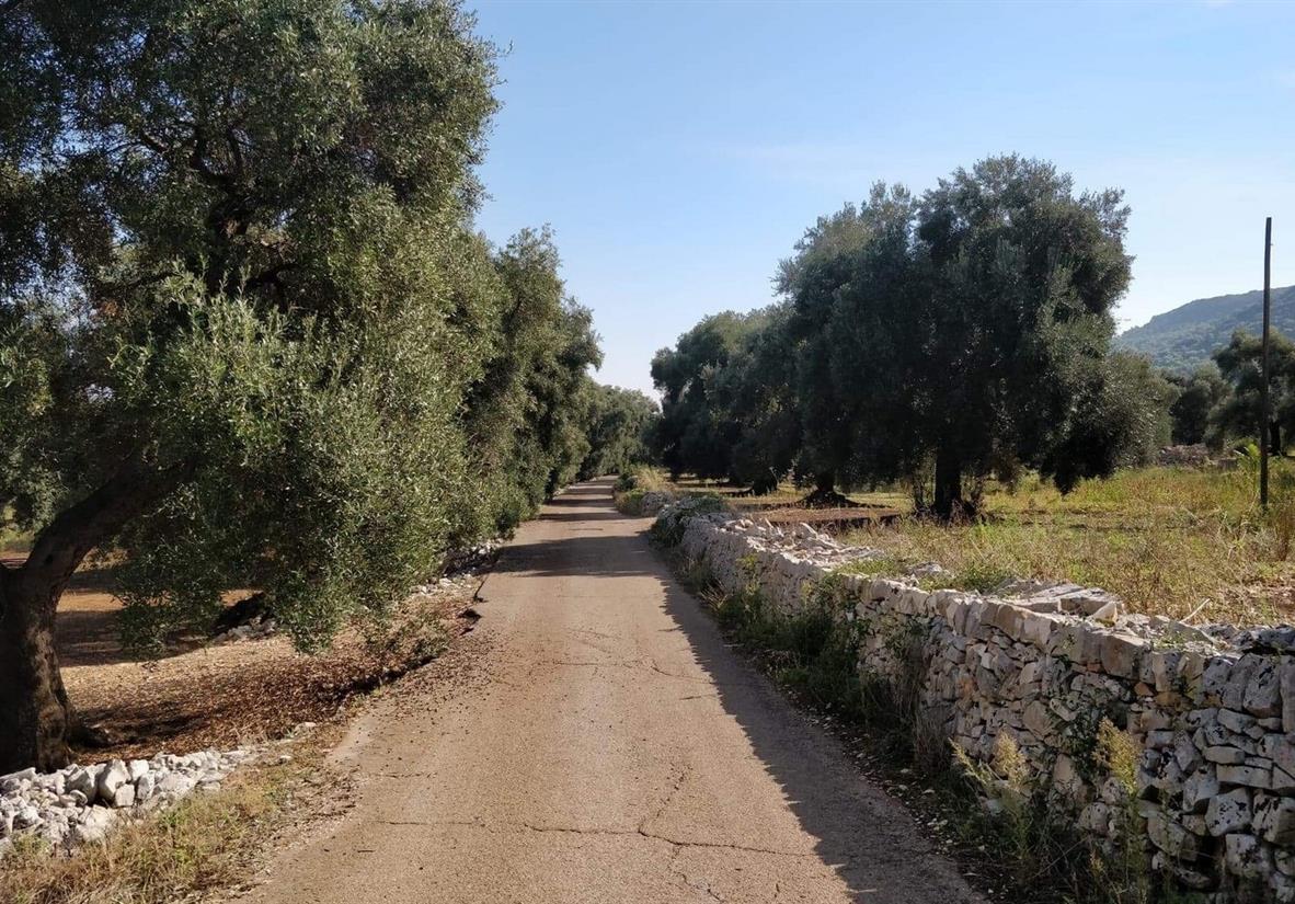 The backroads of Puglia
