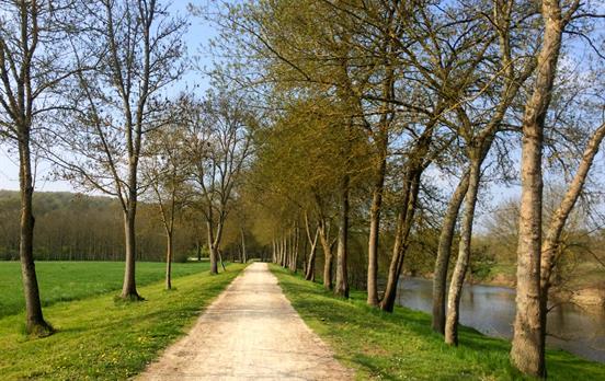 Pedal the easy-going riverside forest paths