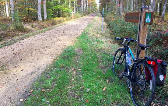 Cycleway en route to Chambord Chateau