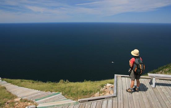 Walk to the wooden boardwark of the Skyline Trail
