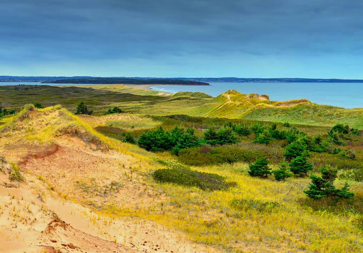 Prince Edward Island sand dunes