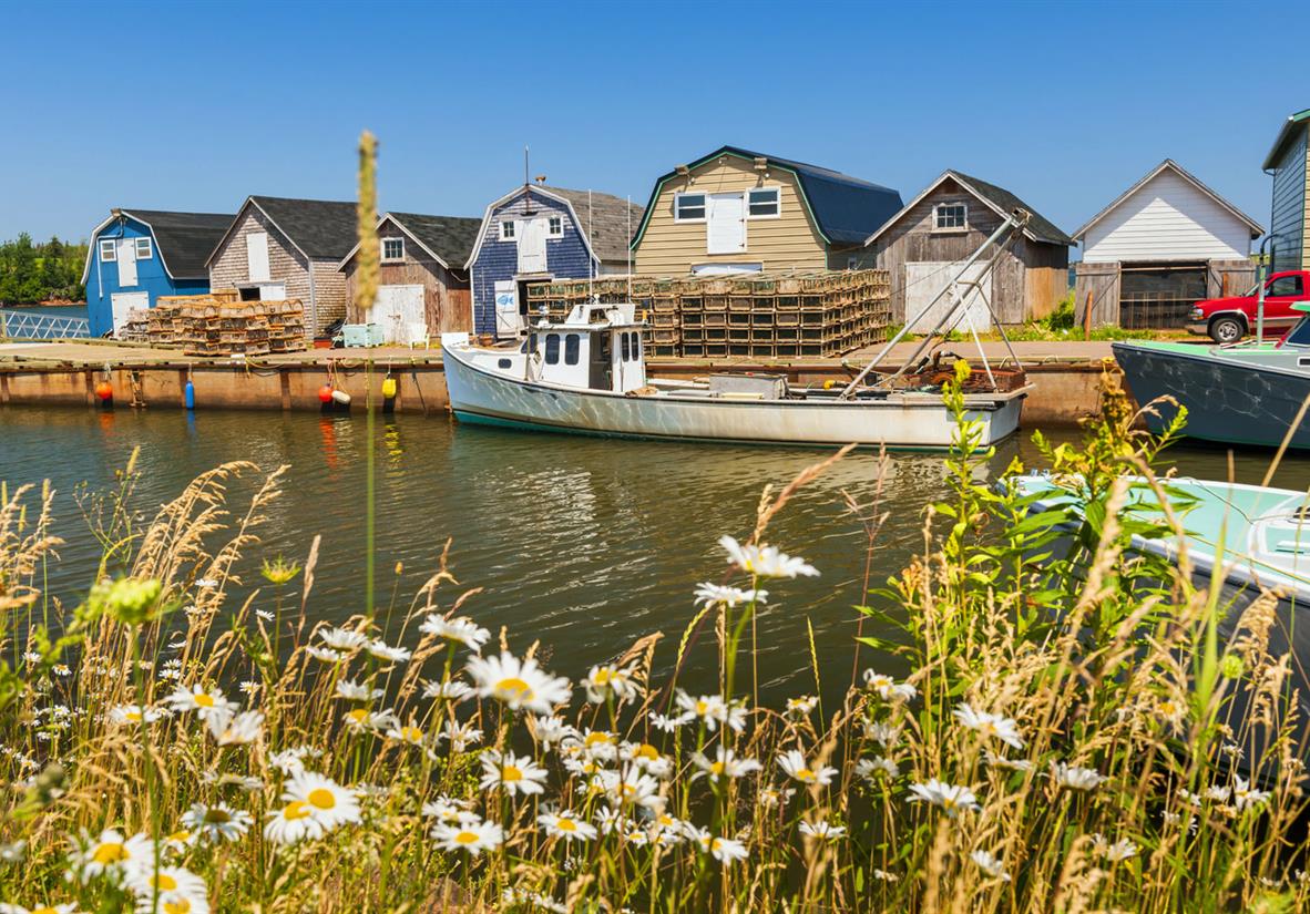 Harbour near Cavendish with wild flowers