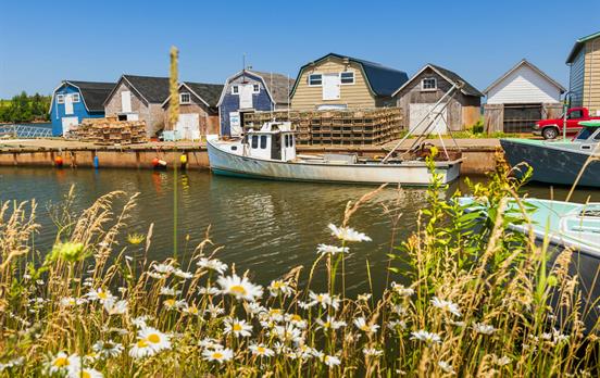 Harbour near Cavendish with wild flowers
