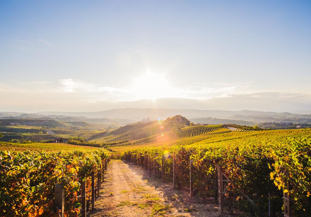 Piemont Wandern und Wein