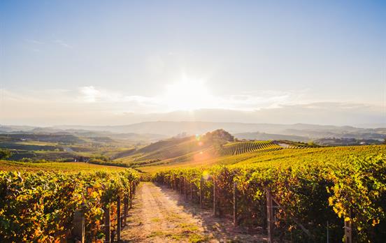 Piemont Wandern und Wein