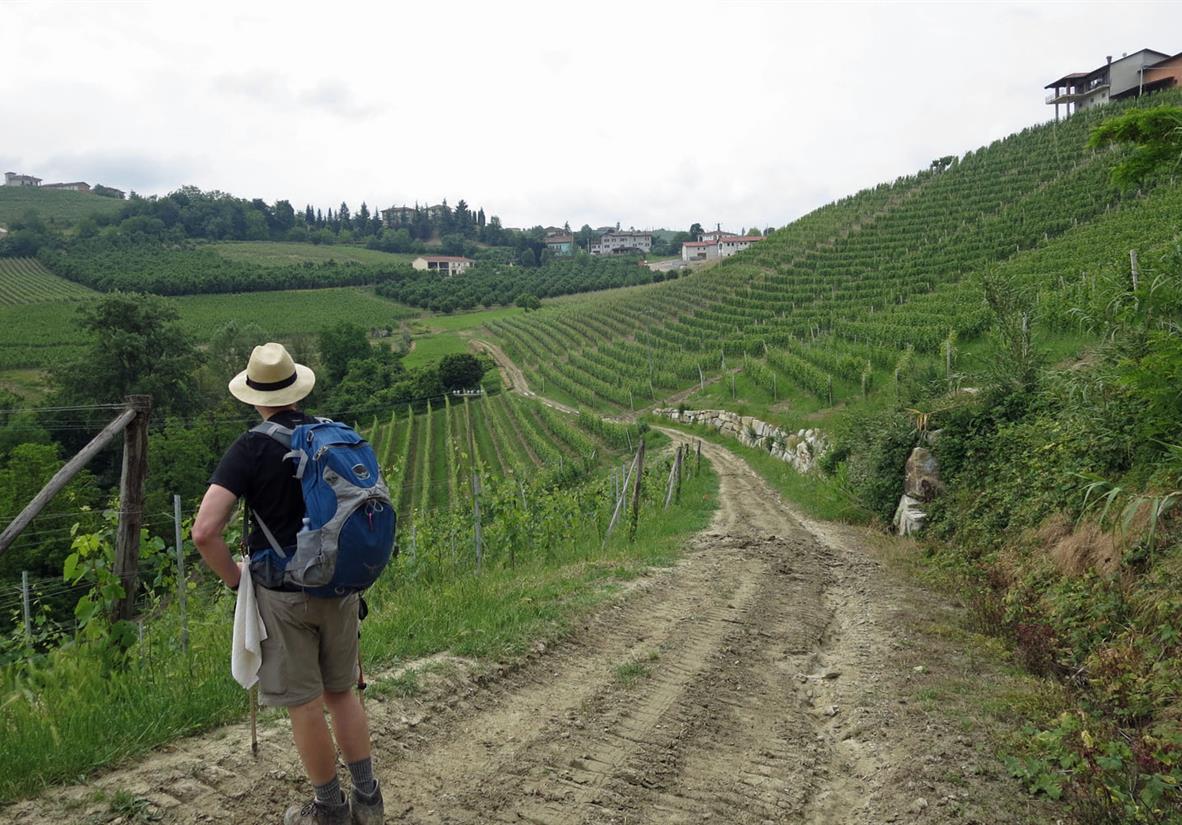 Wandern in der Langhe-Region