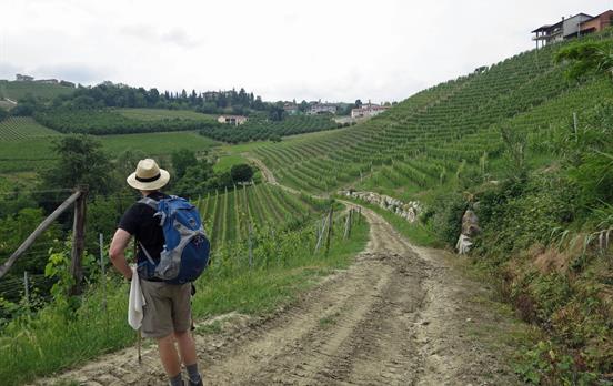 Wandern in der Langhe-Region