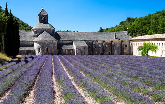 Abbey Senanques with it's iconic lavender fields
