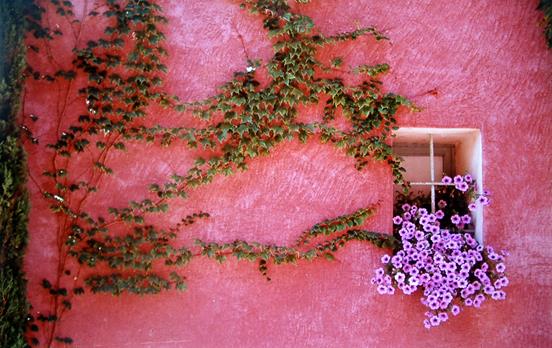 Pink walls of a Provence house