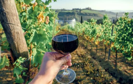 Winelands of Tuscany
