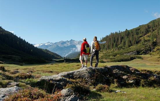 Grüne Almen in den Kitzbüheler Alpen ©Tropper Kurt