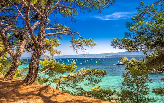 Island of Brac views through the pines