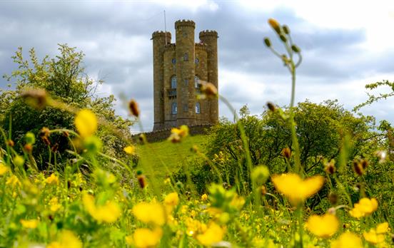 Broadway tower hidden behind some fauna