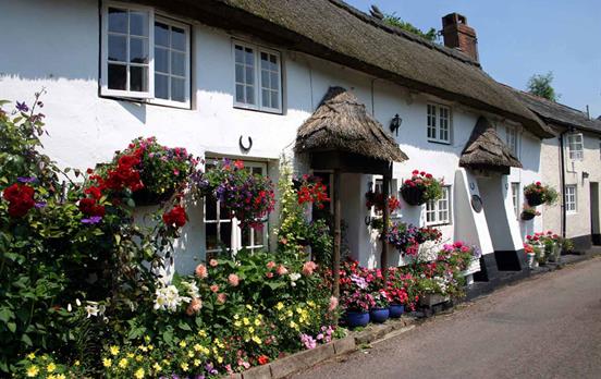 Traditionell reetgedeckte Cottages in Devon