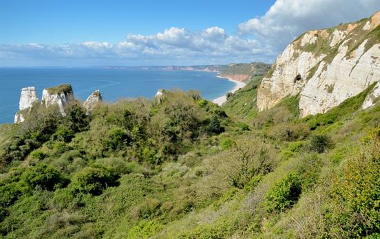 Das Undercliff National Nature Reserve