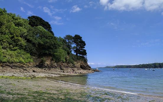 Trebah beach