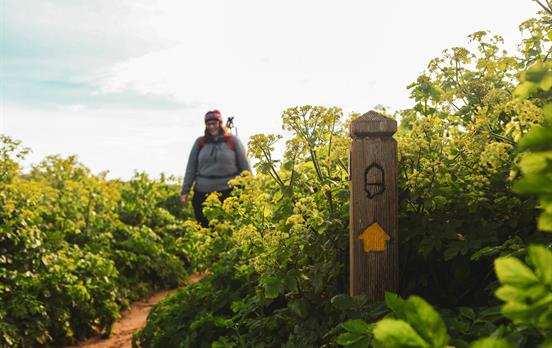 Wegweiser auf dem SWCP