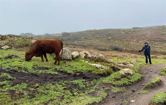 Meet the Locals