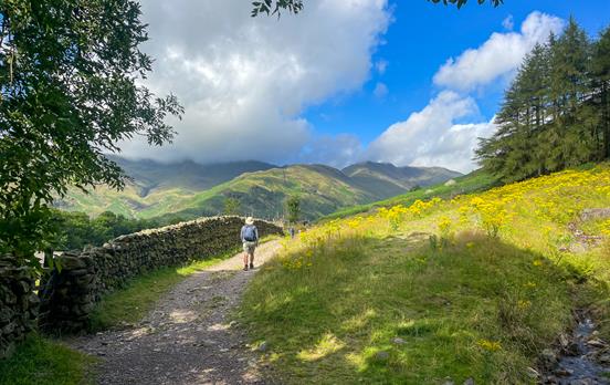 Peaceful trails with vibrant wild flowers