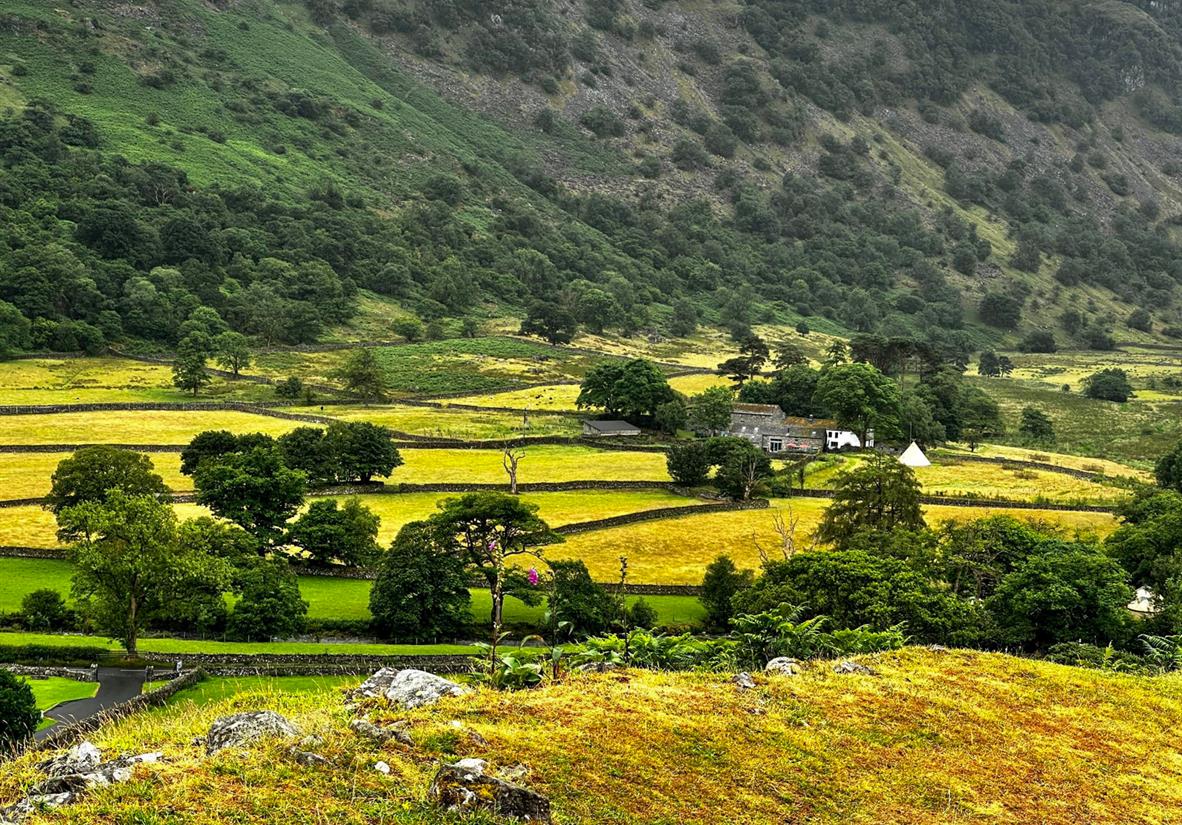 Green landscapes of Northern England